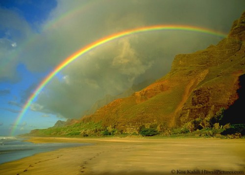 arc en ciel,rainbow