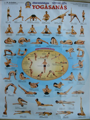 yoga,asanas,patanjali,postures,hatha yoga,yogi,yogini