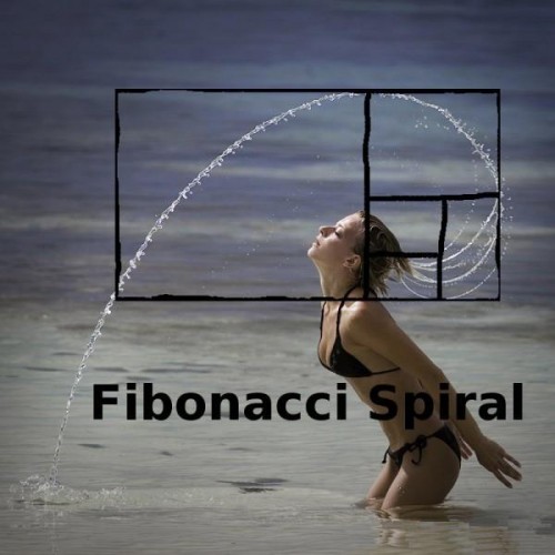fibonacci,spirales,escargot,tournesol,ananas