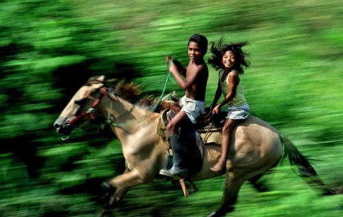 embrace-your-inner-child-brother-and-sister-racing-a-train-v0-nsuqzhdcqqkh1.jpeg
